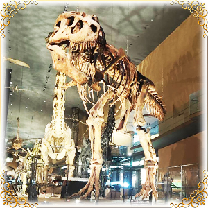 【スタッフの休日】🦕恐竜を見に…🦕